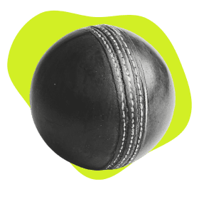 world of Fantasy Cricket 